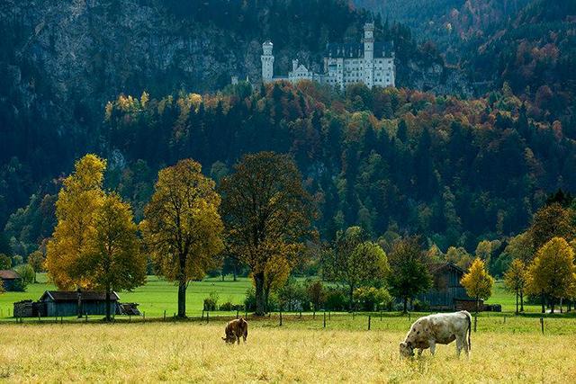 欧盟文件预测德国经济前景黯淡