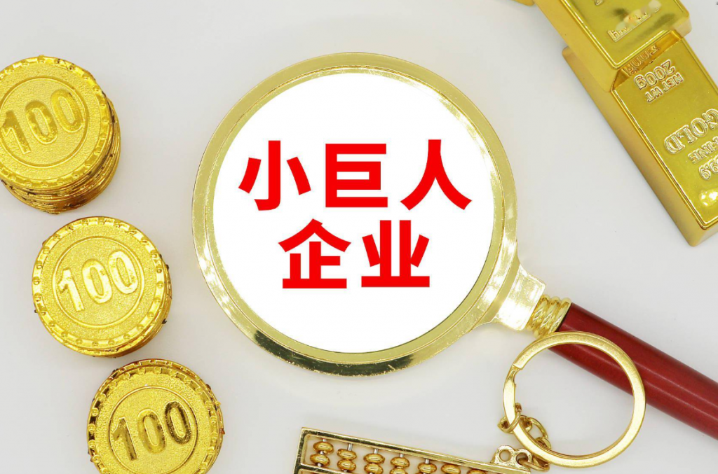 我国专精特新“小巨人”企业数量达1.46万家
