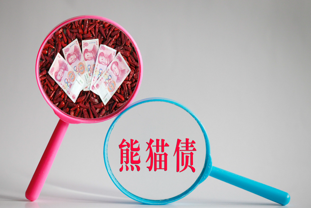 潘功胜：中方欢迎更多拉美国家来华发行熊猫债