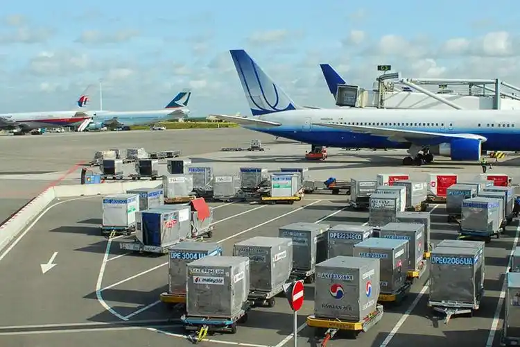稳步提升！4月我国航空运输规模增势良好 国际航线表现亮眼